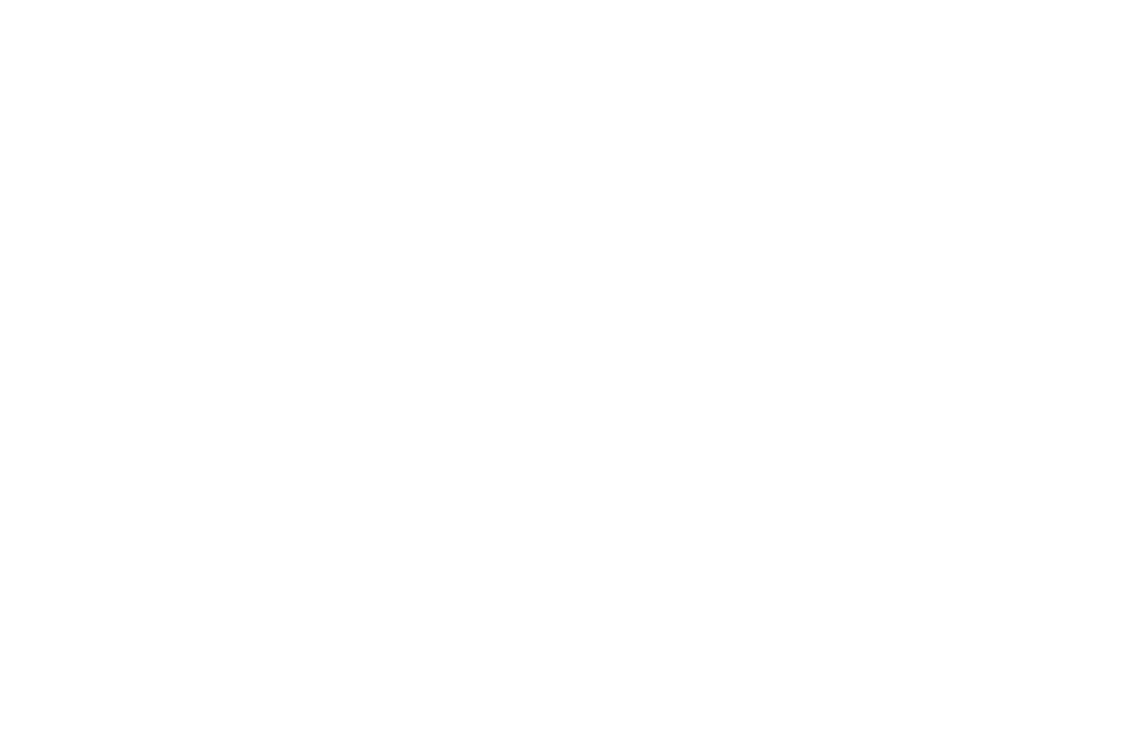 AWARD WINNER - Hollywood International Indipendent Documentary Awards